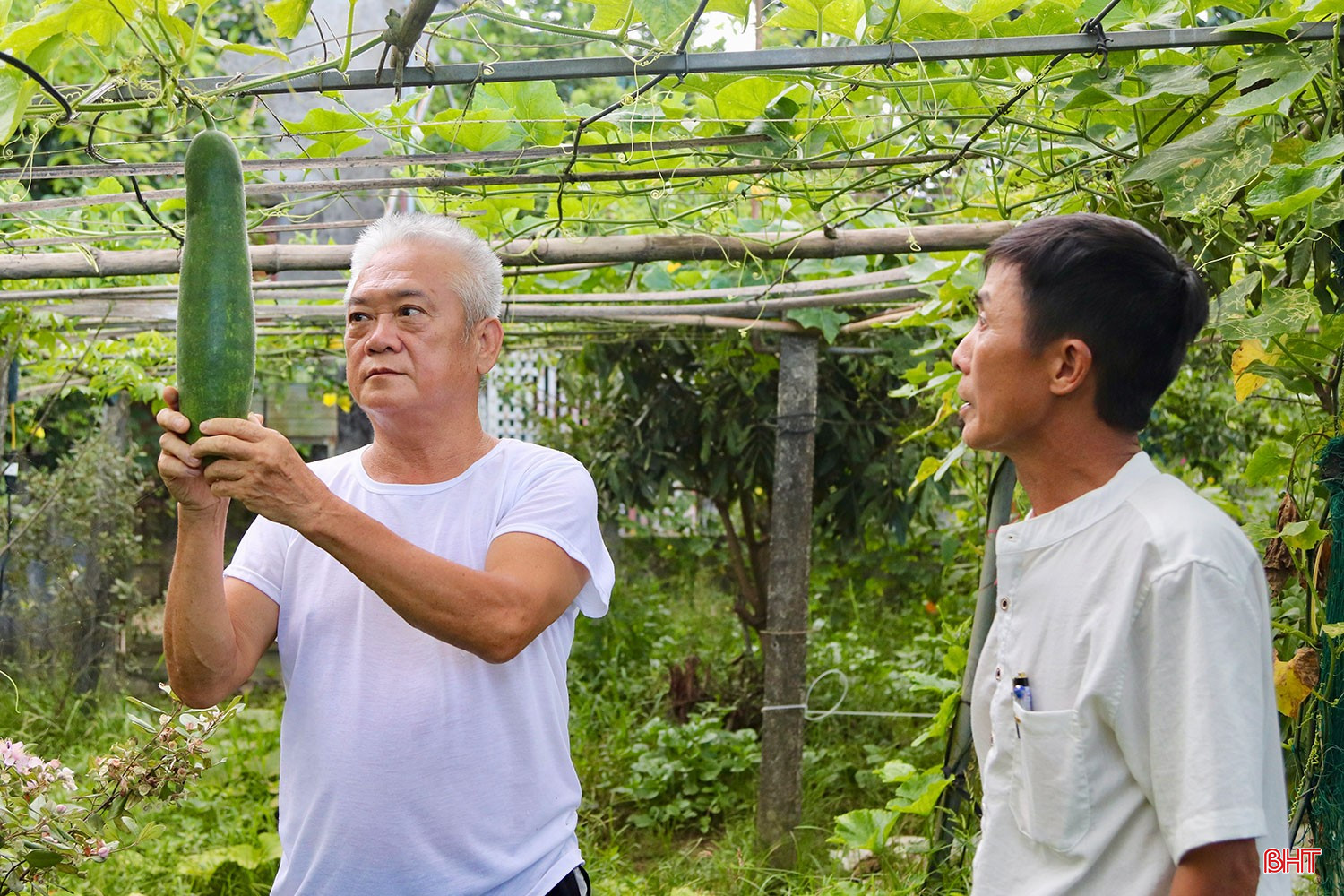 Vườn mẫu giúp người dân thôn Tân Vĩnh Cần nâng cao thu nhập. bqbht_br_anh7.jpg