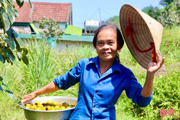 Phát động cuộc thi "Ảnh đẹp và video clip Vũ Quang trong trái tim ta”