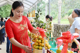 Khai mạc tuần lễ hồng Bình Du Vũ Quang