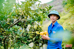 Xã miền núi Hà Tĩnh có 531 mô hình kinh tế thu nhập trên 100 triệu đồng