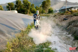 Người chăn nuôi Hà Tĩnh siết chặt phòng dịch, đảm bảo nguồn cung dịp Tết