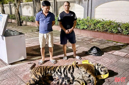 Liên tiếp triệt phá các vụ gian lận thương mại, vận chuyển hàng cấm
