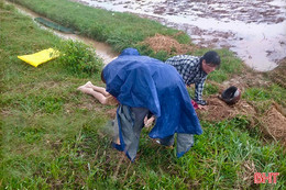 Đang gieo mạ, người đàn ông bị sét đánh tử vong