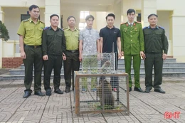 Vườn Quốc gia Vũ Quang tiếp nhận 3 cá thể động vật quý hiếm