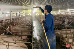 Tăng “sức đề kháng” cho đàn vật nuôi sau mưa bão