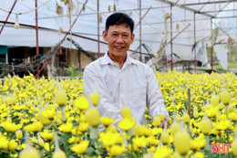 Hoa nở đúng vụ, nhà vườn “hái lộc” mùa Tết