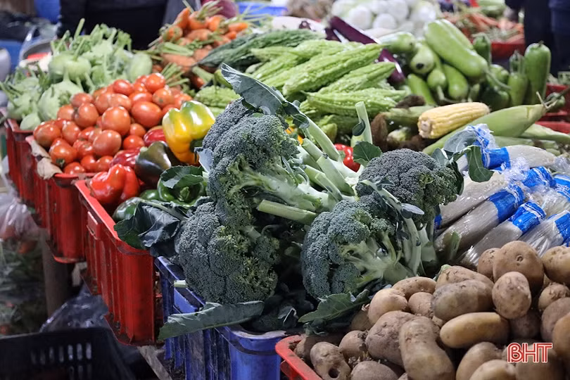 Giá rau xanh tại Hà Tĩnh tăng nhẹ sau tết Nguyên đán