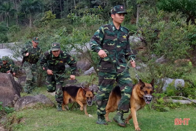 Biên cương Hà Tĩnh đón xuân trong bình yên