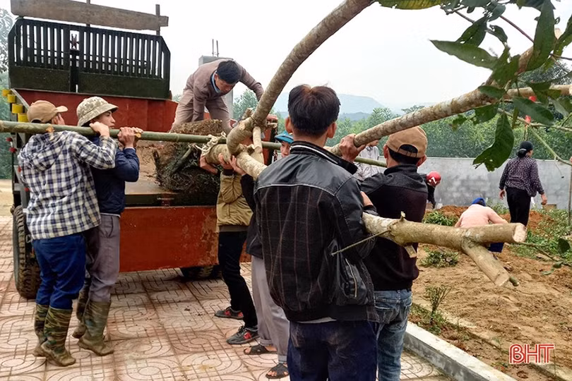 Hà Tĩnh náo nức Tết trồng cây đời đời nhớ ơn Bác Hồ