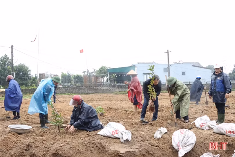 Sôi nổi ra quân trồng cây đầu xuân tại các địa phương, đơn vị ở Hà Tĩnh