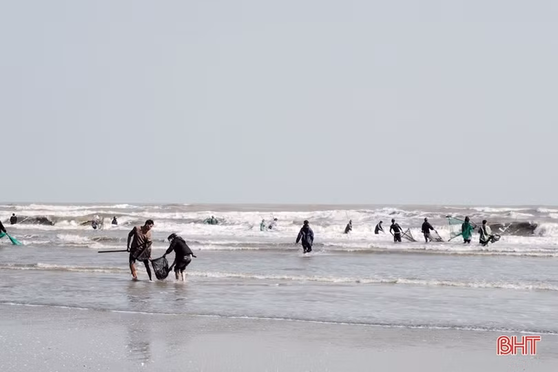 Ngư dân Lộc Hà phấn khởi cào “lộc biển”, thu tiền triệu đầu năm