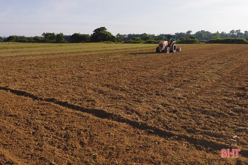 Người dân các huyện miền núi Hà Tĩnh tập trung “khép kín” diện tích vụ xuân