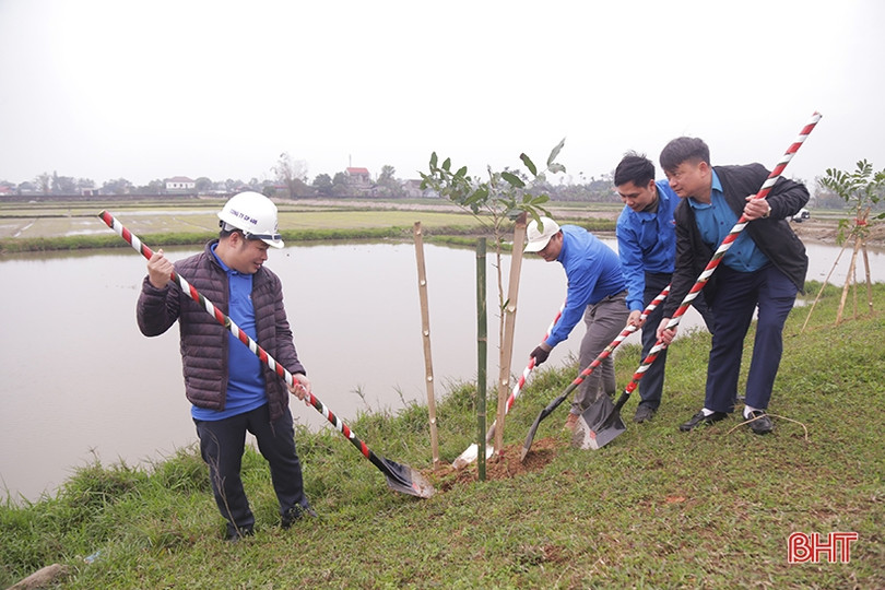 Phát động “Tết trồng cây, nâng cao an toàn giao thông”