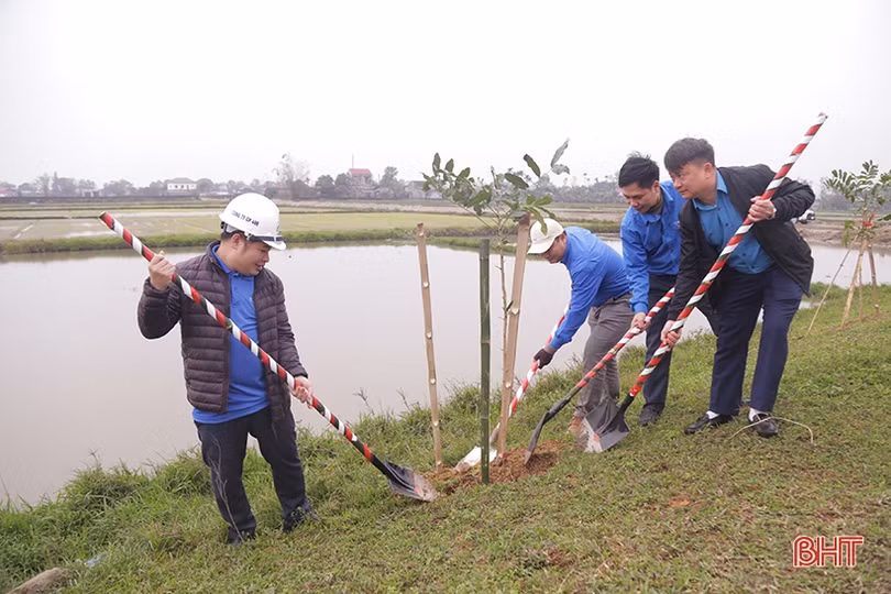 Phát động “Tết trồng cây, nâng cao an toàn giao thông”