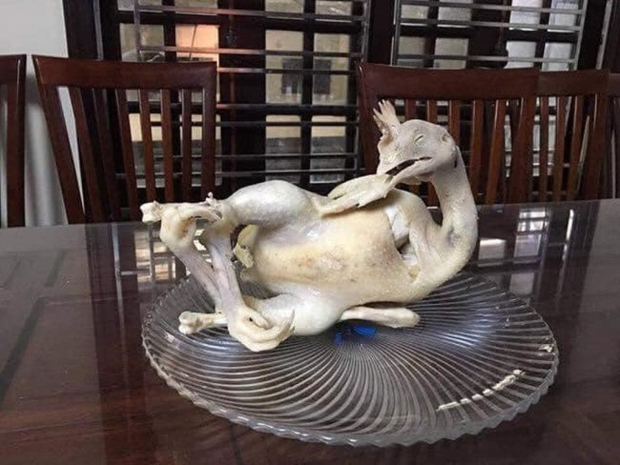 Tuyệt tác của “hội gái đảm” khi vào bếp luộc gà