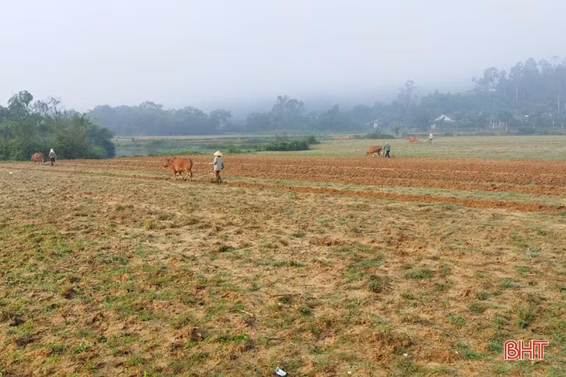 Người dân các huyện miền núi Hà Tĩnh tập trung “khép kín” diện tích vụ xuân