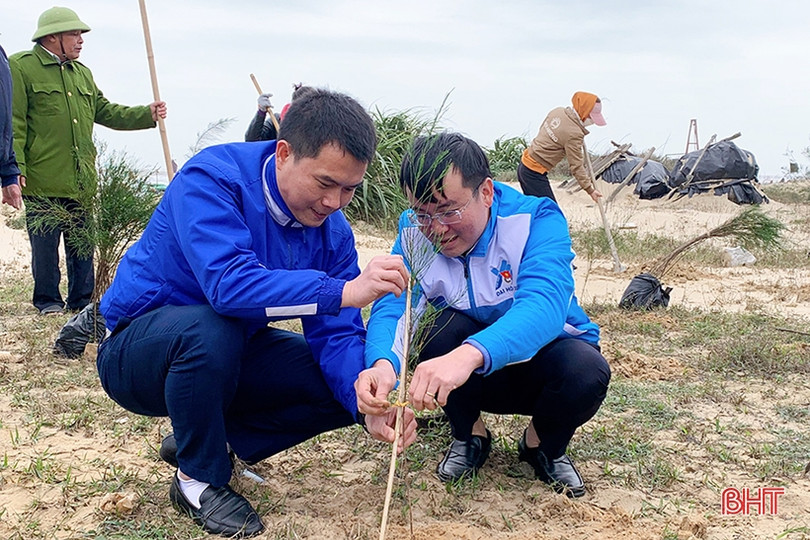 Tuổi trẻ Cẩm Xuyên trồng 12.000 cây phi lao ven biển Cẩm Dương