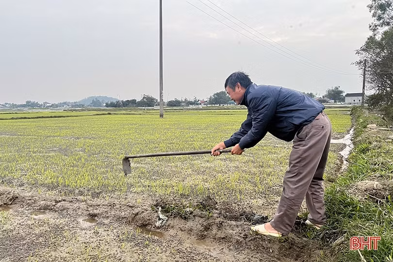 Nông dân Hà Tĩnh xuống đồng sản xuất đầu năm mới