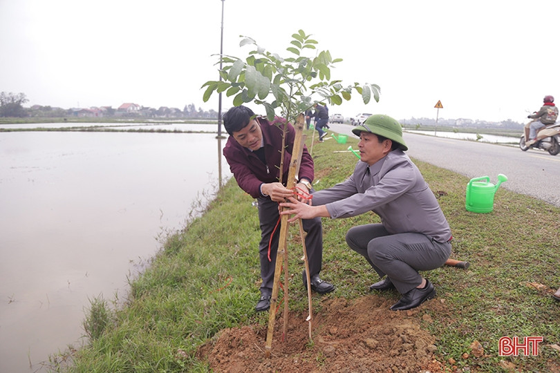 Phát động “Tết trồng cây, nâng cao an toàn giao thông”