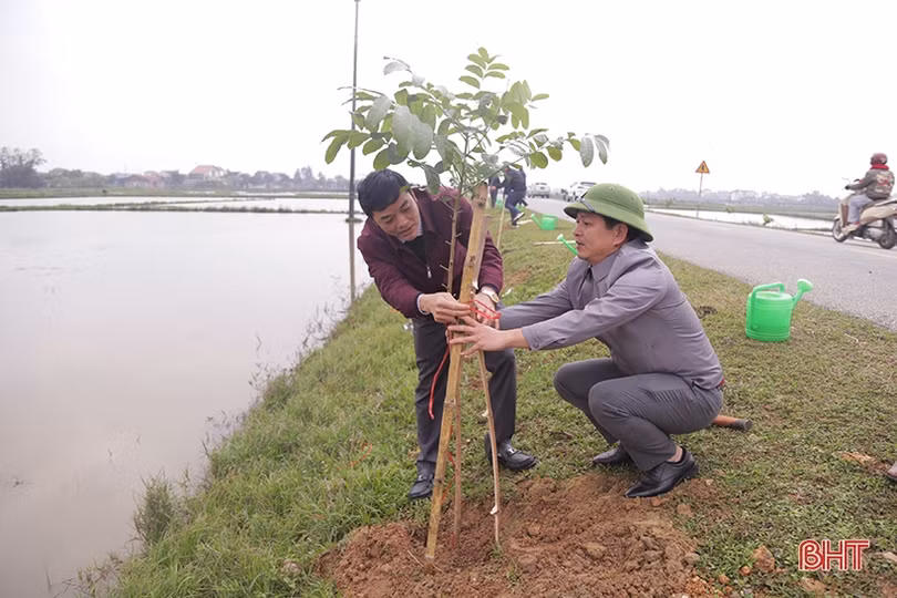 Phát động “Tết trồng cây, nâng cao an toàn giao thông”