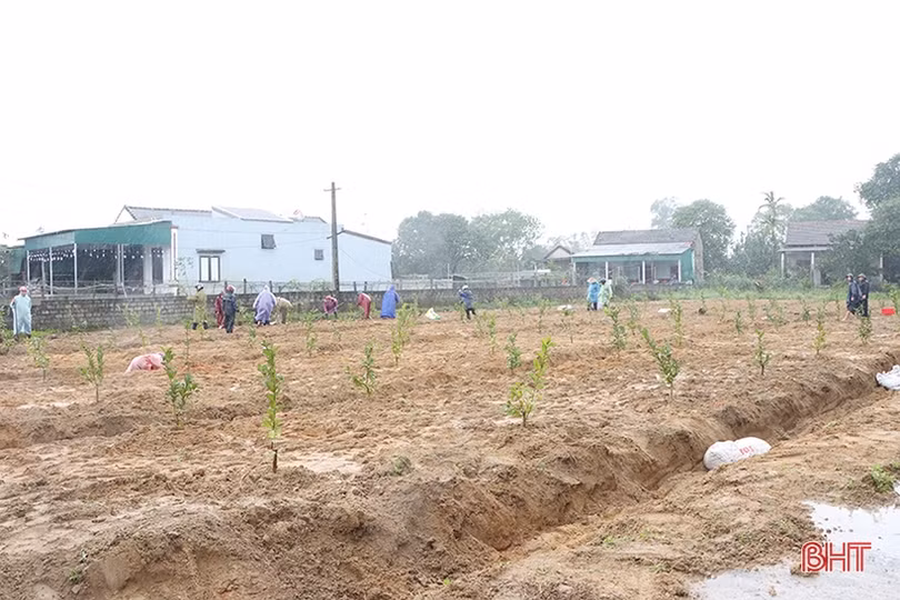 Sôi nổi ra quân trồng cây đầu xuân tại các địa phương, đơn vị ở Hà Tĩnh