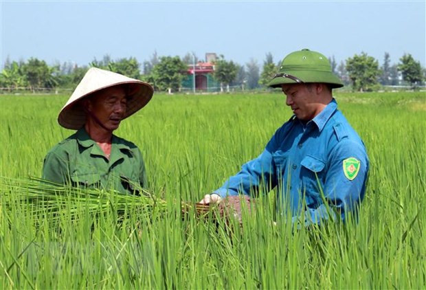 Một số chính sách mới nổi bật sẽ có hiệu lực trong tháng 2 hình ảnh 2 Một số chính sách mới nổi bật sẽ có hiệu lực trong tháng 2/2023