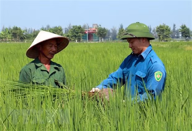 Một số chính sách mới nổi bật sẽ có hiệu lực trong tháng 2/2023