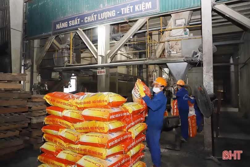 Doanh nghiệp Hà Tĩnh thi đua sản xuất, kinh doanh từ những ngày đầu năm mới