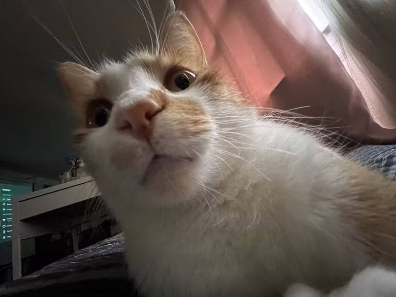 Vì sao điện thoại hiện nay cần nhiều camera