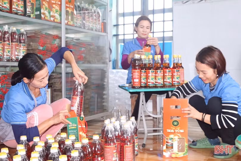 Nước mắm Cẩm Xuyên rộn ràng vụ sản xuất mới