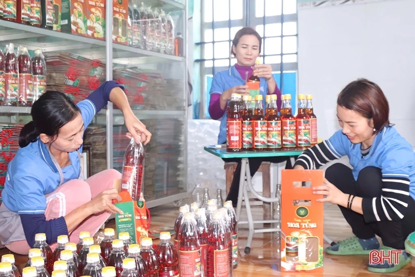 Nước mắm Cẩm Xuyên rộn ràng vụ sản xuất mới