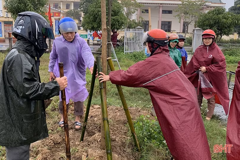 Sôi nổi ra quân trồng cây đầu xuân tại các địa phương, đơn vị ở Hà Tĩnh