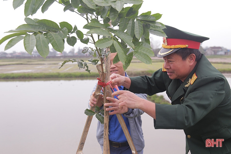 Phát động “Tết trồng cây, nâng cao an toàn giao thông”