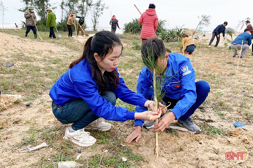 Tuổi trẻ Cẩm Xuyên trồng 12.000 cây phi lao ven biển Cẩm Dương