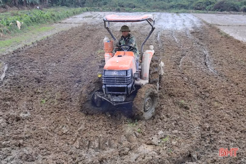 Hương Sơn gieo cấy gần 1.000ha lúa xuân