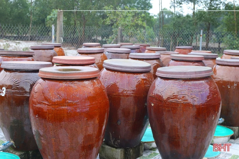 Nước mắm Cẩm Xuyên rộn ràng vụ sản xuất mới