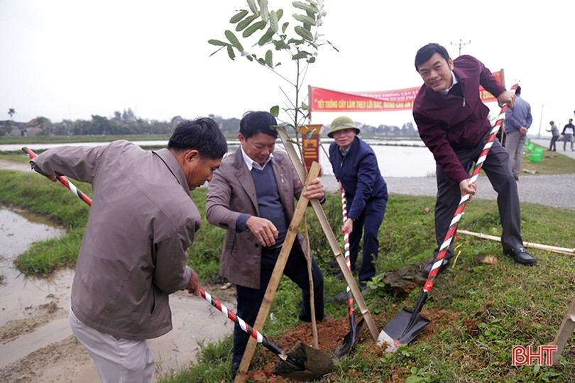 Phát động “Tết trồng cây, nâng cao an toàn giao thông”