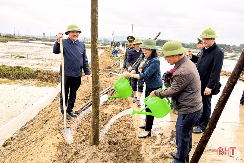 Sôi nổi ra quân trồng cây đầu xuân tại các địa phương, đơn vị ở Hà Tĩnh