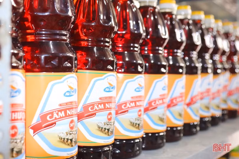 Nước mắm Cẩm Xuyên rộn ràng vụ sản xuất mới