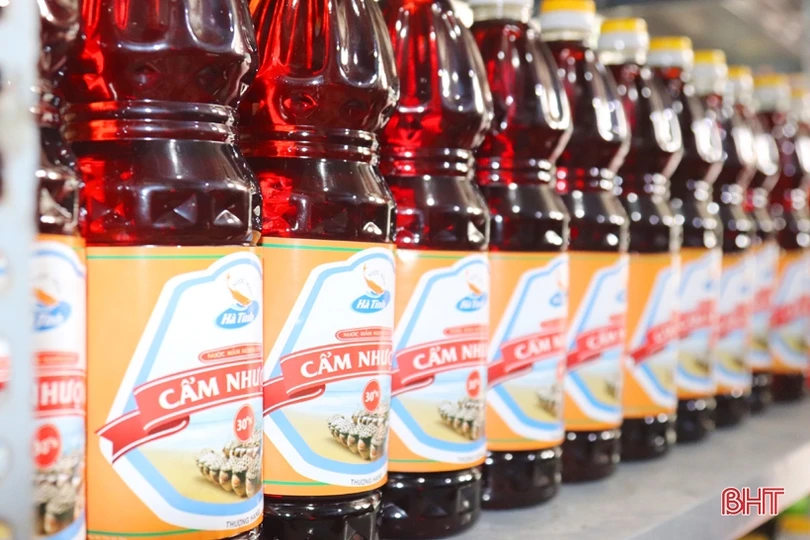 Nước mắm Cẩm Xuyên rộn ràng vụ sản xuất mới