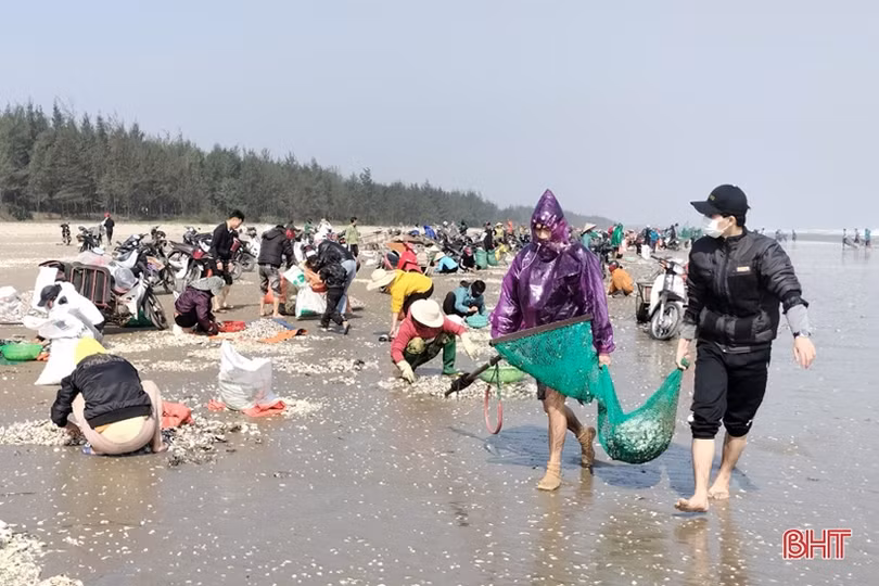 Ngư dân Lộc Hà phấn khởi cào “lộc biển”, thu tiền triệu đầu năm