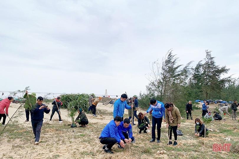 Tuổi trẻ Cẩm Xuyên trồng 12.000 cây phi lao ven biển Cẩm Dương
