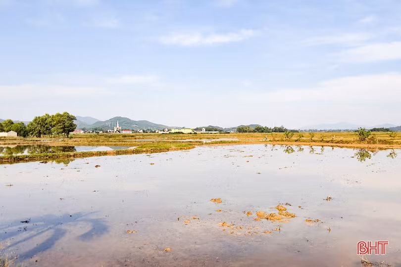 Phát triển sản xuất nông nghiệp hữu cơ ở huyện Kỳ Anh