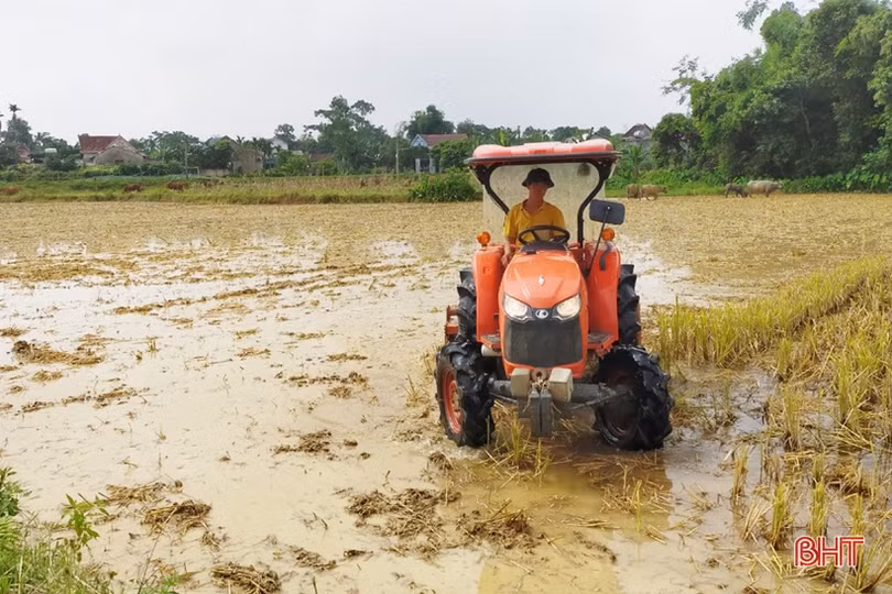 Người dân các huyện miền núi Hà Tĩnh tập trung “khép kín” diện tích vụ xuân