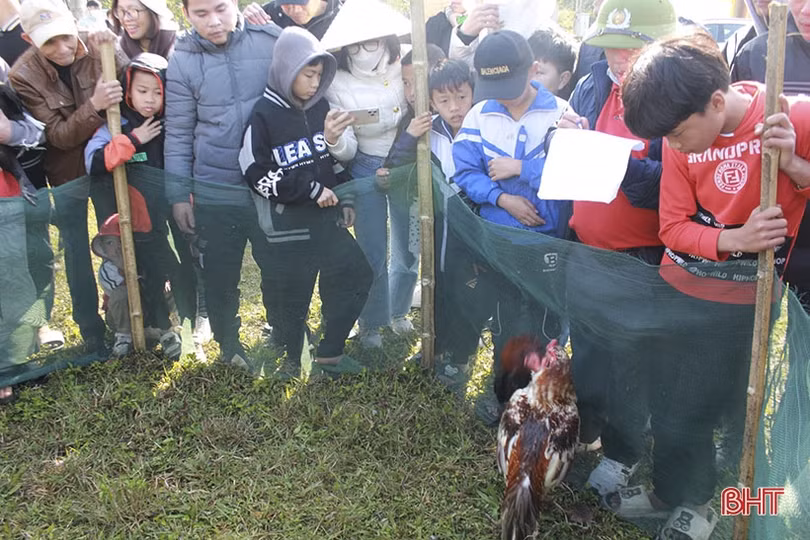 Hấp dẫn các trò chơi dân gian trong lễ khai hội chùa Hương Tích