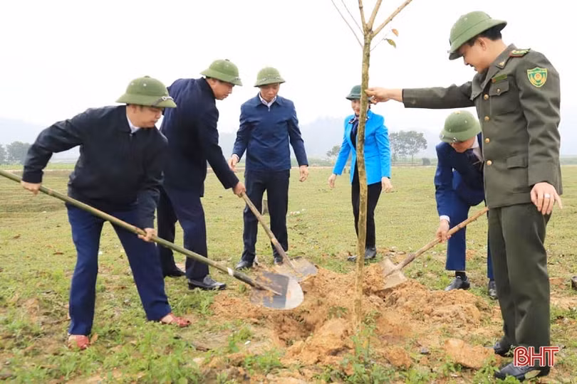 Sôi nổi ra quân trồng cây đầu xuân tại các địa phương, đơn vị ở Hà Tĩnh