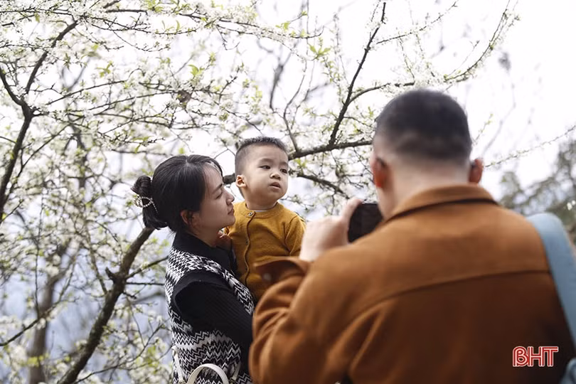 Chùa Hương Tích nườm nượp khách du xuân