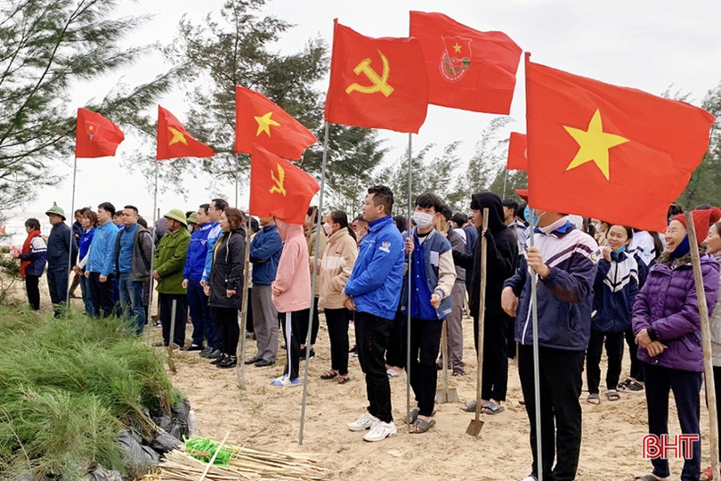 Tuổi trẻ Cẩm Xuyên trồng 12.000 cây phi lao ven biển Cẩm Dương