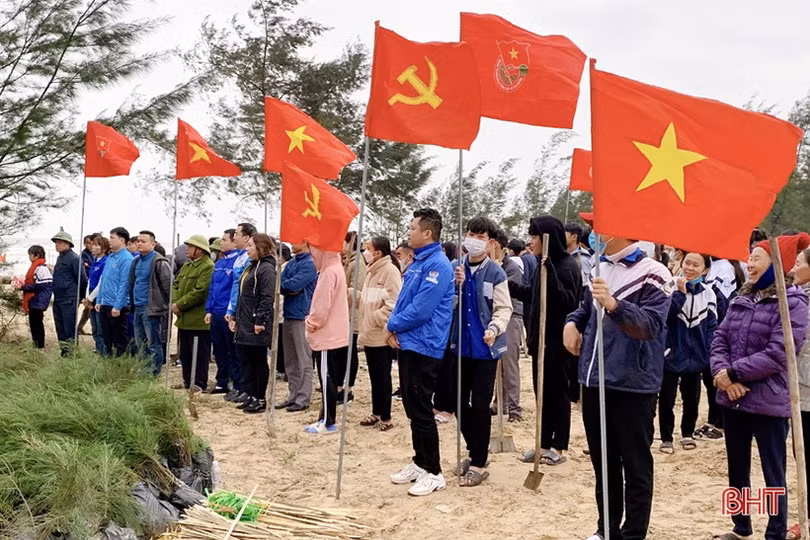 Tuổi trẻ Cẩm Xuyên trồng 12.000 cây phi lao ven biển Cẩm Dương