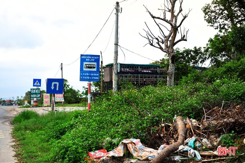 Cỏ mọc rậm, rác thải vương vãi tại điểm chờ xe buýt khiến khu vực vừa mất vệ sinh, vừa khiến nhiều người e ngại khi chọn điểm chờ. bqbht_br_12-3.jpg
